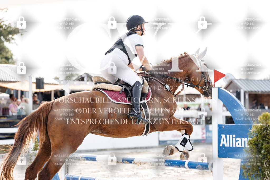 CK906680 | Turnierfotografie Pferdefotografie Trier Rheinland-Pfalz Pferdesport Reitsport Tierfotografie Sportfotografie Pferdevideo Pferdevideografie Equestrianvideography equestrianphotography  - Realisiert mit Pictrs.com
