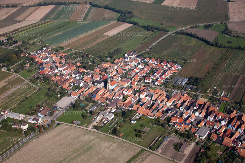 Luftbild: Dorfansicht in Erlenbach bei Kandel im Bundesland Rheinland-Pfalz in Deutschland. Foto: IMG_45478.jpg vom 24.09.2011 durch Werner Riehm/FLY-FOTO.de