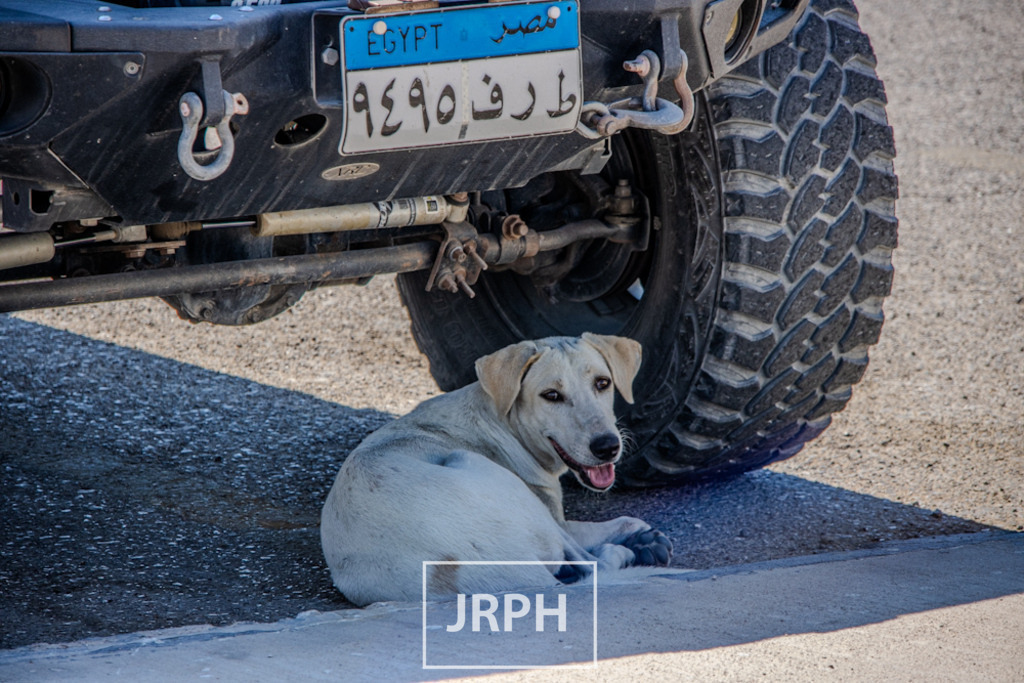 IMG_9019 | jrph - Realisiert mit Pictrs.com