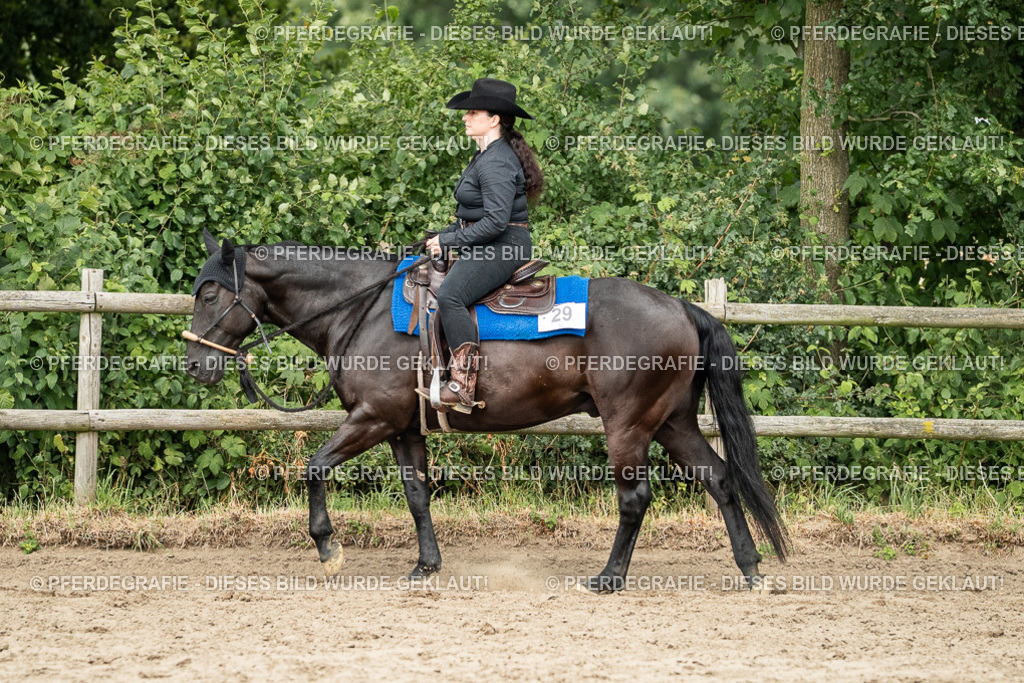 DSC03097 | Pferdegrafie