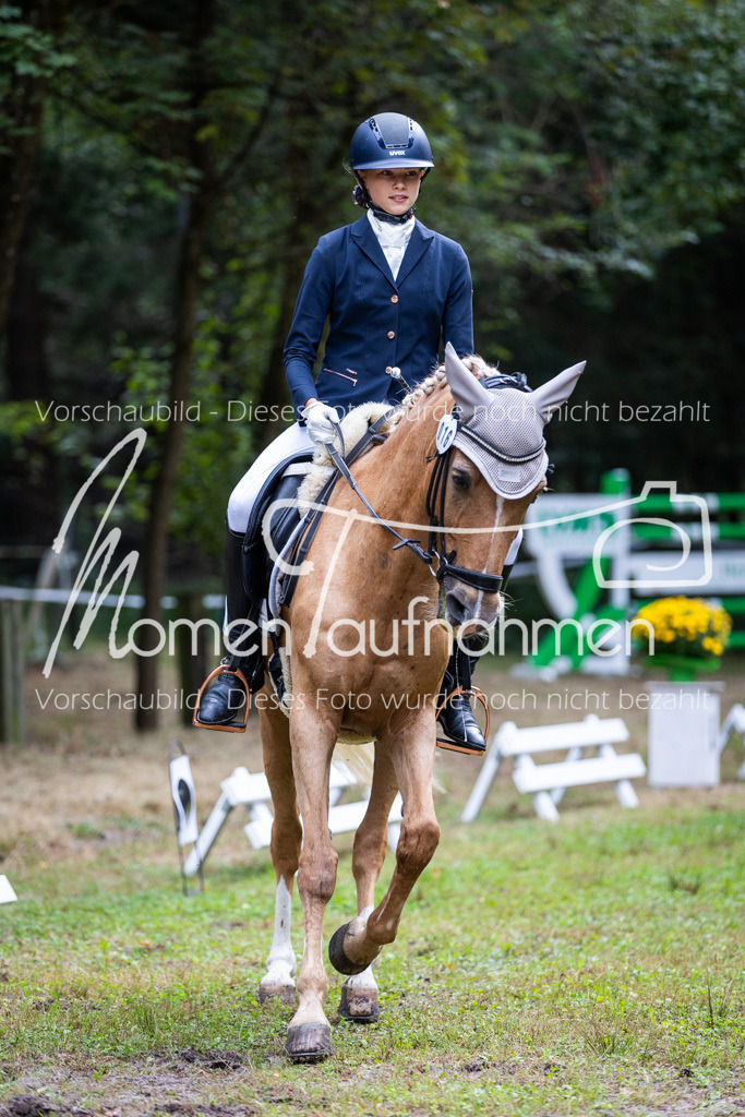 HB-A-Dressur-001 | MomenTaufnahmen Pferdesportfotos