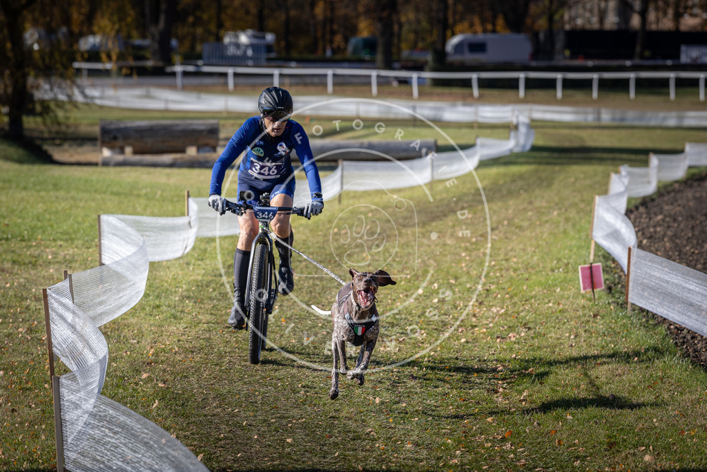 CaniXpix_DV3A6959 | Hundefotografie, Tierfotograf, Pfotenfotografie, Fotoshooting Hund, Hunde Portrait, Hundesport, Hundeportraits, Heideshooting, Hunde, Sportfotograf, Hundefotograf, Turnierhundsport, THS,  - Realisiert mit Pictrs.com