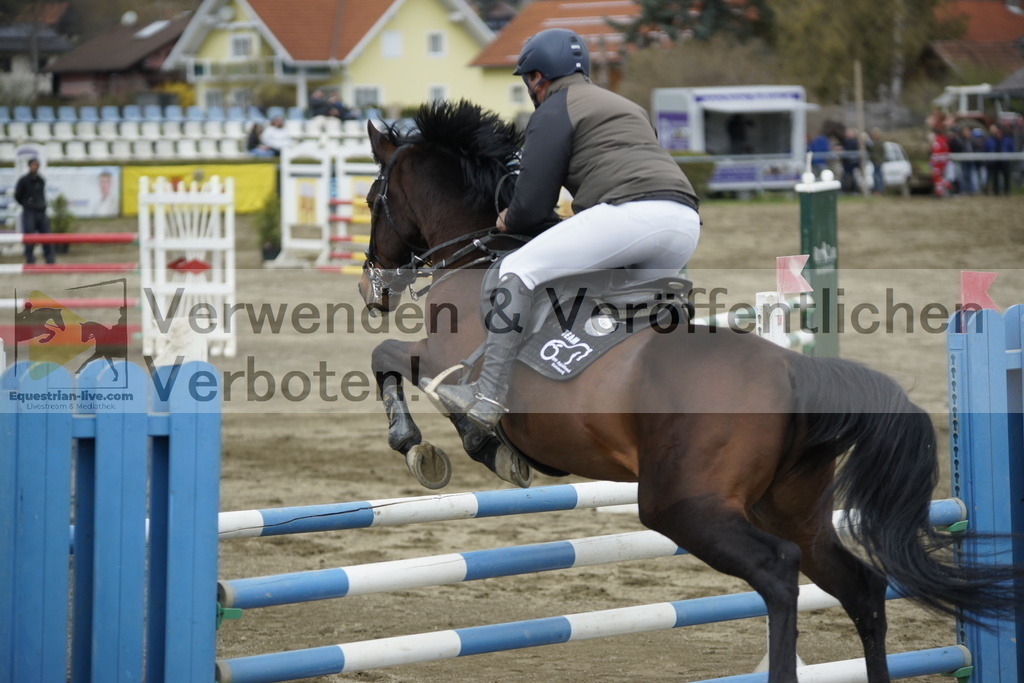 _DSC7453 | equestrian-live-com