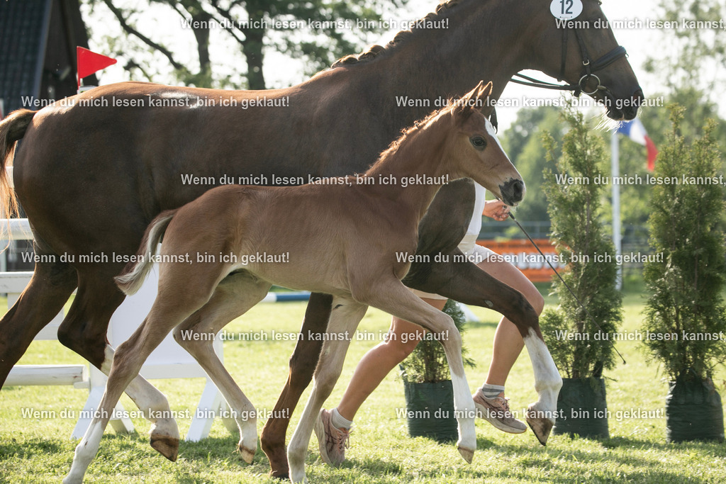 598A7225 | photographylinaismer - Realisiert mit Pictrs.com