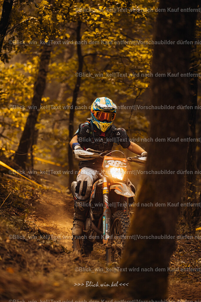 E68A3997 | blick_win_kel