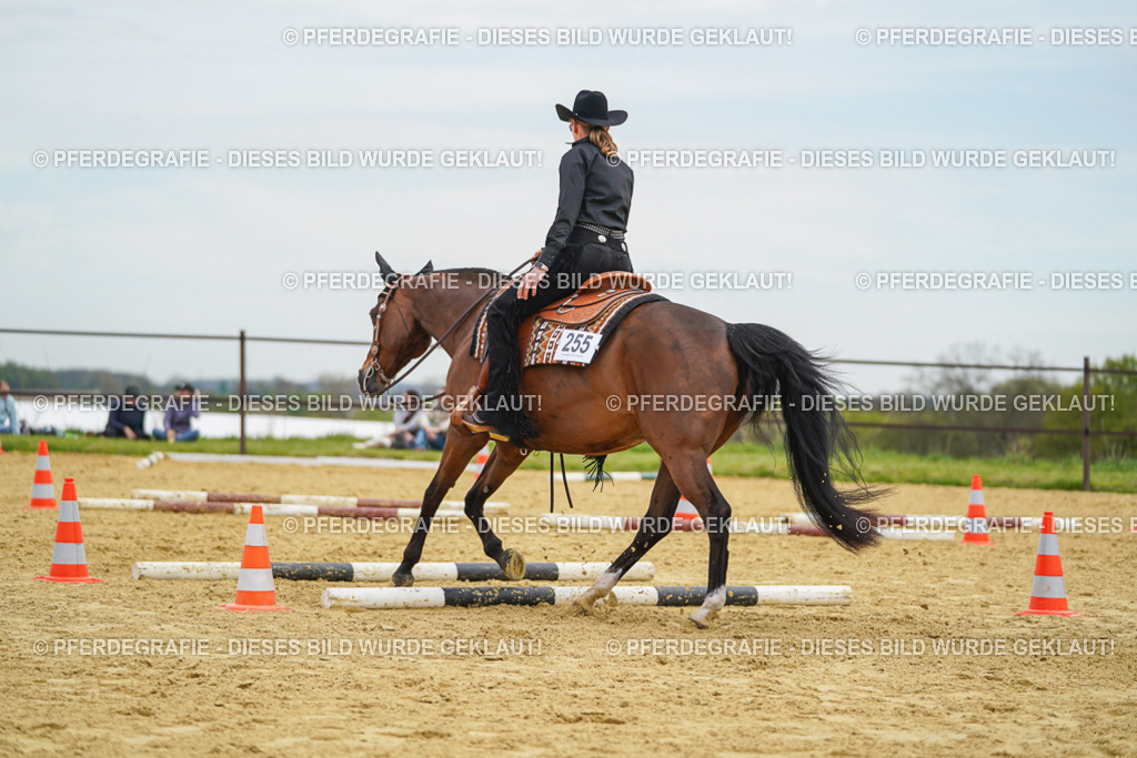 DSC02992 | Pferdegrafie