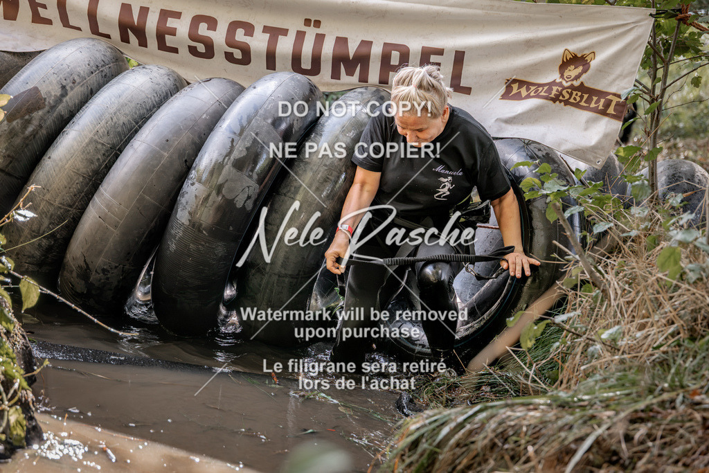 nelerasche_Hunsrück2026_Sa1400-1500_396 | nelerasche