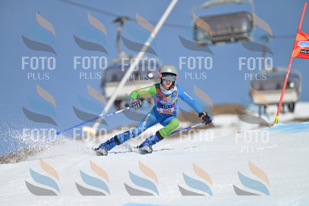 BGV_9059 | holidayphoto