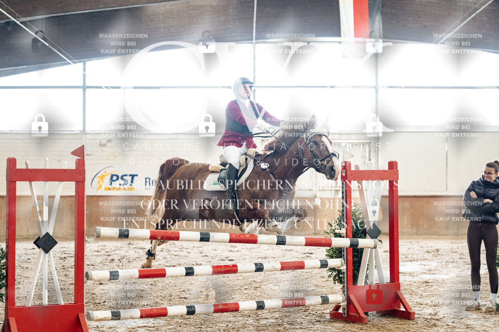 CK906312 | Turnierfotografie Pferdefotografie Trier Rheinland-Pfalz Pferdesport Reitsport Tierfotografie Sportfotografie Pferdevideo Pferdevideografie Equestrianvideography equestrianphotography  - Realisiert mit Pictrs.com