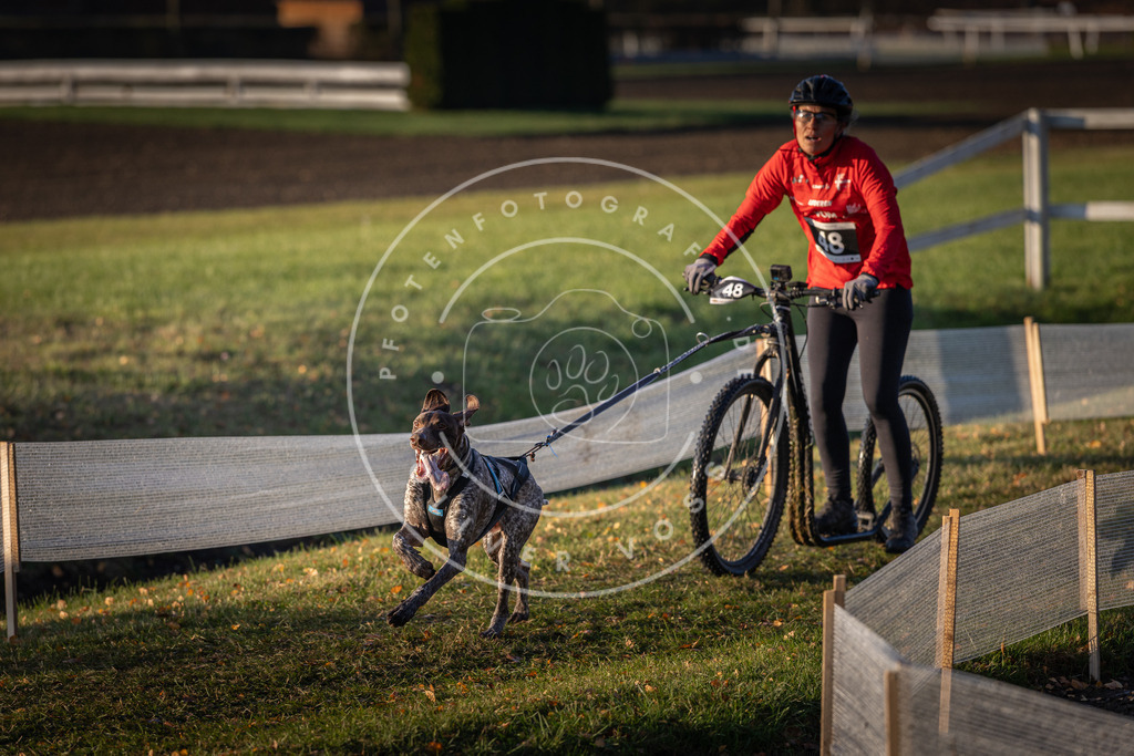 CaniXpix_DV3A0485 | Hundefotografie, Tierfotograf, Pfotenfotografie, Fotoshooting Hund, Hunde Portrait, Hundesport, Hundeportraits, Heideshooting, Hunde, Sportfotograf, Hundefotograf, Turnierhundsport, THS,  - Realisiert mit Pictrs.com