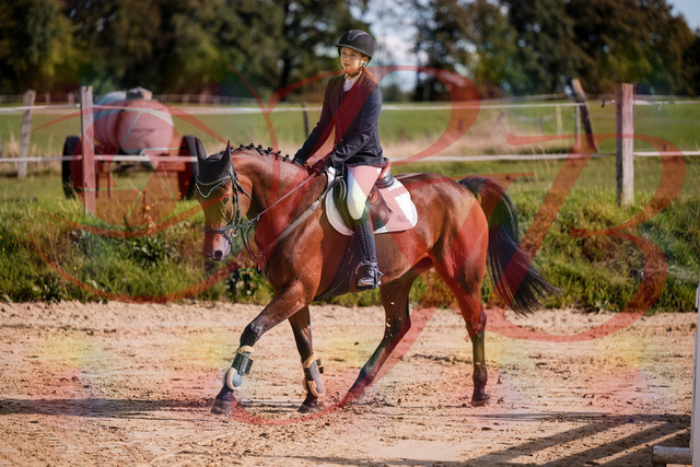 2026_10_03_Siefer-Hof_143552_Z81_05022579 | Professionelle Reitsport-, Turnier- und Eventfotografie von Robert Broda. Galerien mit ausgewählten und bearbeiteten Bildern direkt online ansehen und bestellen.