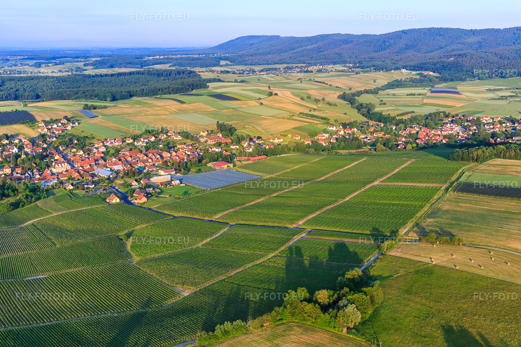 Vue aérienne: Vue de la ville depuis le nord-est à Steinseltz dans le département Bas Rhin, France – .Photo: IMG_100664.jpg prise le 02/06/2017 par Werner Riehm/FLY-FOTO.eu – Résolution de l'original: 5472 x 3648 px