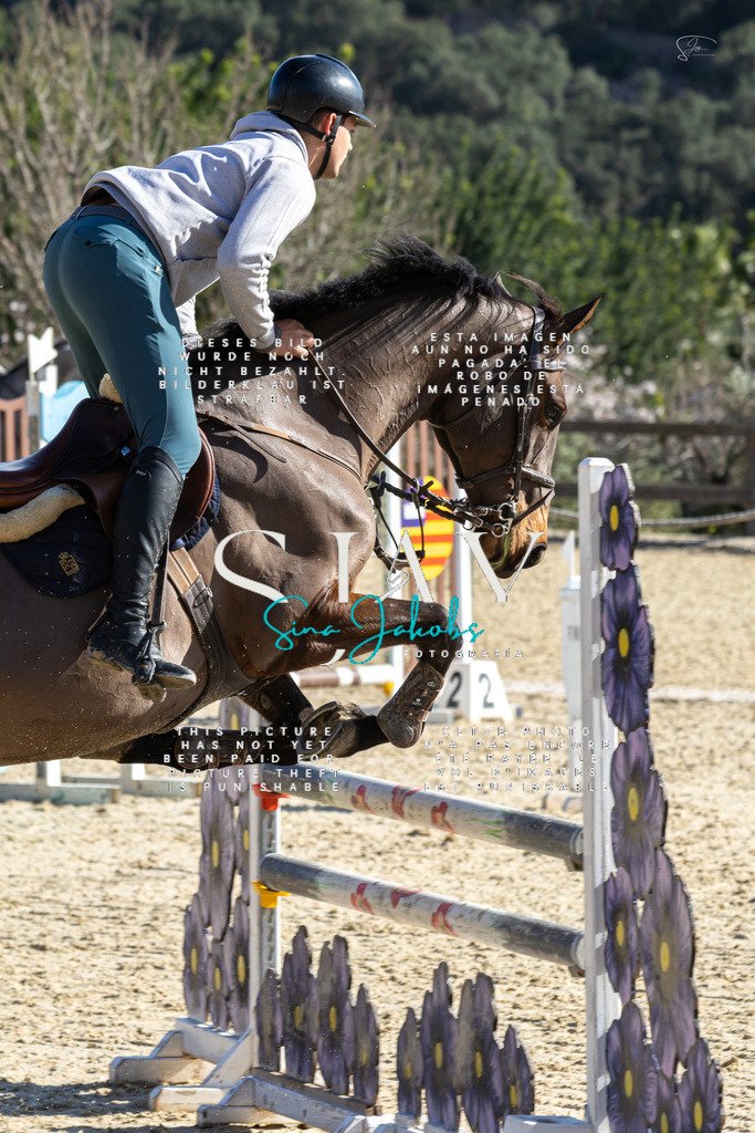 IMG_3831 | s-jay-photography - Realisiert mit Pictrs.com