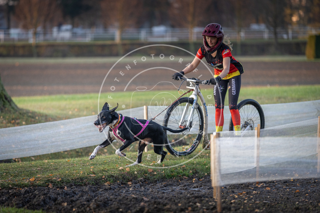CaniXpix_DV3A9256 | Hundefotografie, Tierfotograf, Pfotenfotografie, Fotoshooting Hund, Hunde Portrait, Hundesport, Hundeportraits, Heideshooting, Hunde, Sportfotograf, Hundefotograf, Turnierhundsport, THS,  - Realisiert mit Pictrs.com