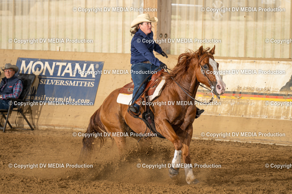 LAU01514 | dv-media-shop - Realisiert mit Pictrs.com