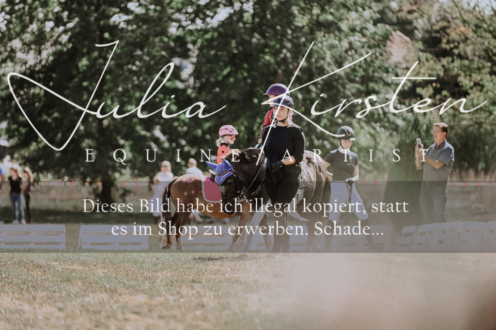 DSC_8847 | Pferde- und Turnierfotografie in Westsachsen. Pferdeportraits, Auftragszeichnungen und intuitive Kunst.