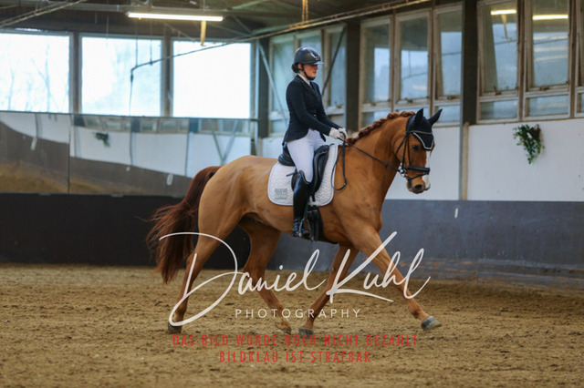 IMG_7627 | Turniersportfotografie; Pferdefotografie; Dressurfotografie