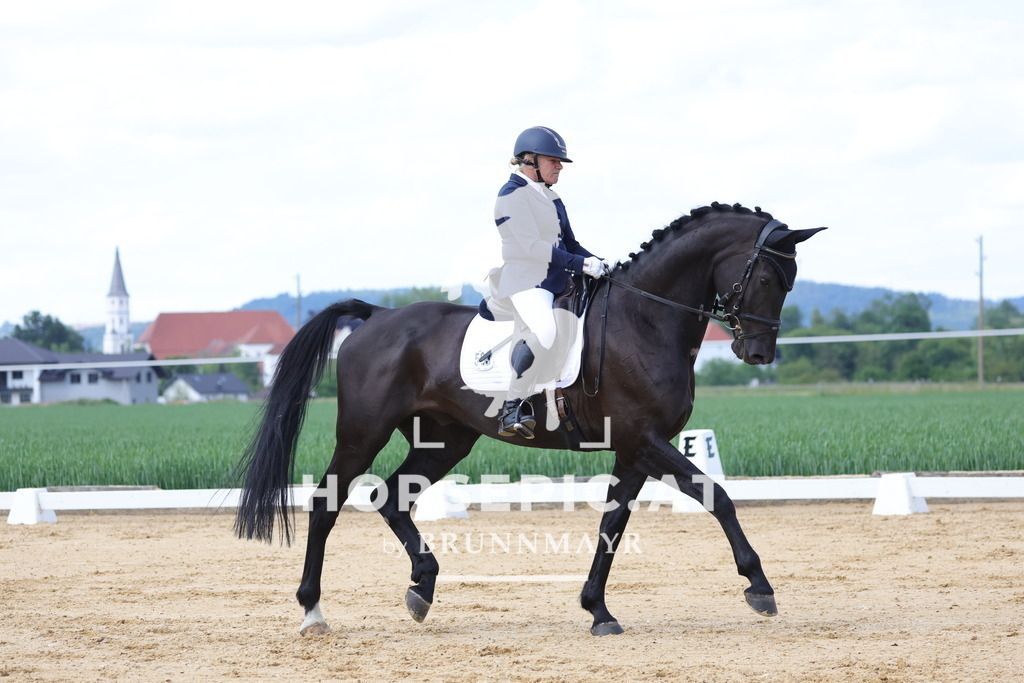0P6A9071 | Willkommen bei Brunnmayr - Design & Fotografie – Ihrem Spezialisten für Reitturniere und Pferdeveranstaltungen in Oberösterreich, Salzburg und Bayern! Seit über 17 Jahren sind wir leidenschaftlich dabei.