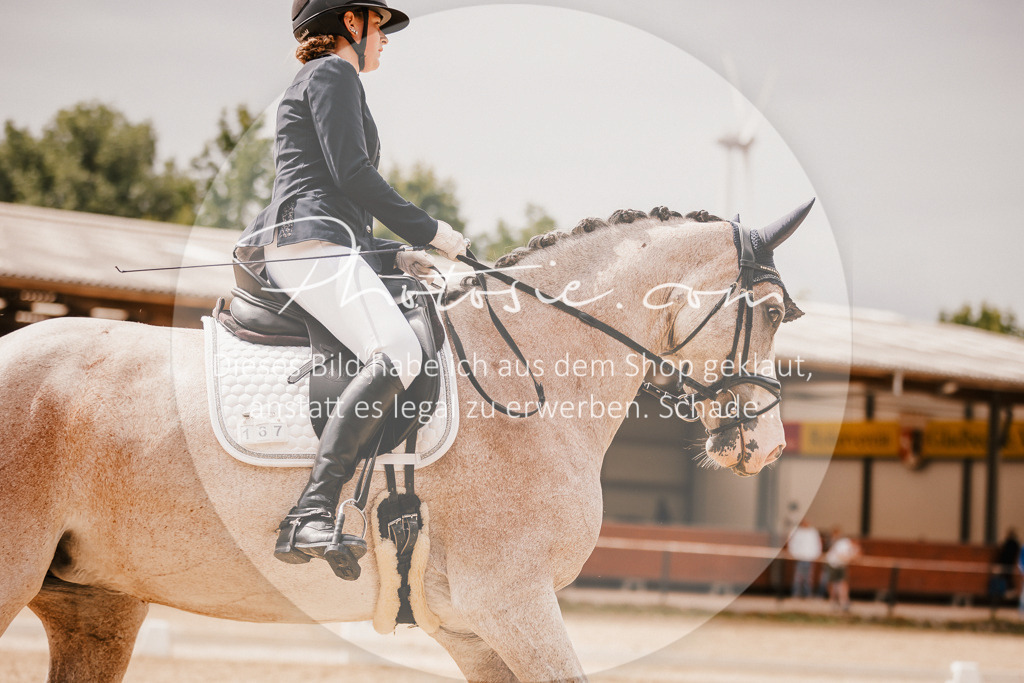3I6A6174 | Stimmungsvolle Portraits und Reitsportfotografie im Ruhrgebiet und im Münsterland.

Pferdefotografie, Hundefotografie, Tierfotografie, Reportagen, Portraits von Tier und Mensch, Turnierfotografie in Bochum, Recklinghausen, Marl, Haltern am See, Dülmen.. - Realisiert mit Pictrs.com