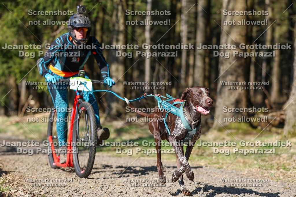 Dog Paparazzi - VCC26-114 | Dog Paparazzi Jeanette Grottendiek Fotografie & Videografie - Realisiert mit Pictrs.com