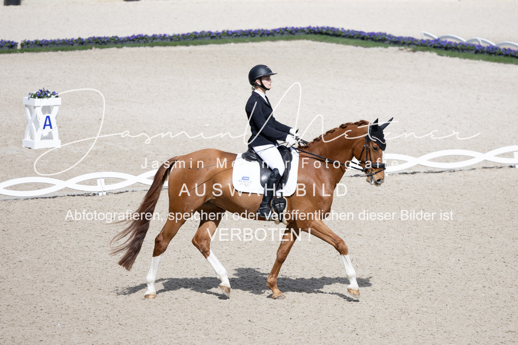 126A0276 | jasminmetznerfotografie