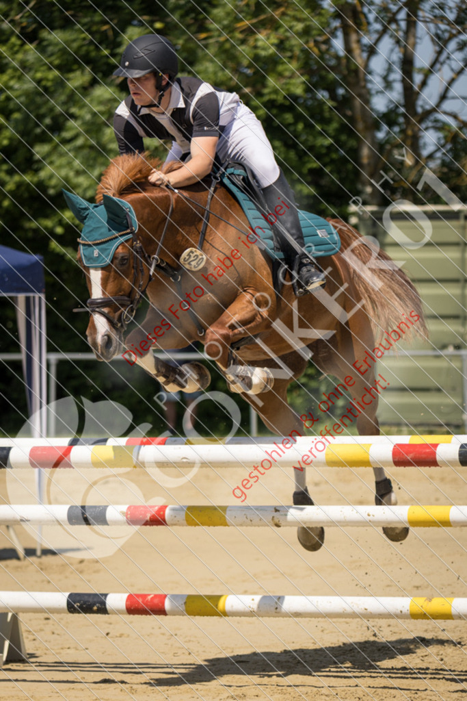 IMG_9243 | Sport-, Event- und Tierfotos in Profiqualität. Einfach auswählen, bestellen und herunterladen. Dein Moment – perfekt festgehalten.