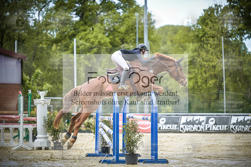 DOS_5732 | Entdecke hochwertige Reitturnierfotos von Foto Oger. Professionell, emotional und authentisch – jetzt Lieblingsmomente im Shop bestellen.Deutschlandweite Turnierfotografie. - Realisiert mit Pictrs.com