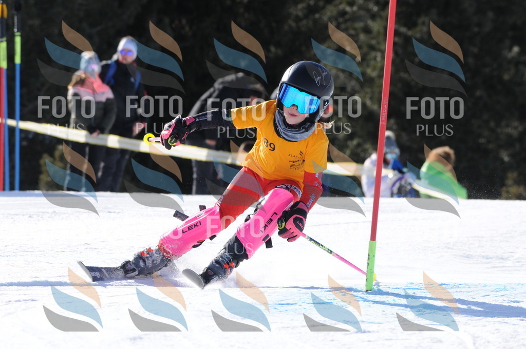 C7034 | holidayphoto