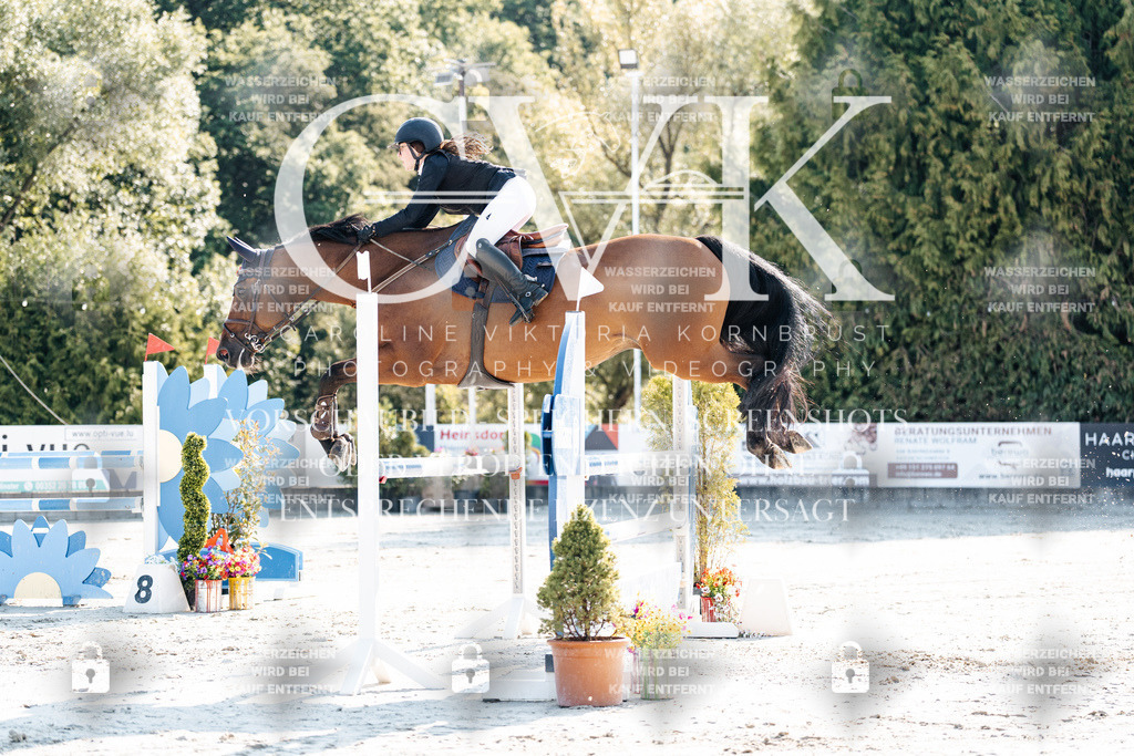 CK901723 | Turnierfotografie Pferdefotografie Trier Rheinland-Pfalz Pferdesport Reitsport Tierfotografie Sportfotografie Pferdevideo Pferdevideografie Equestrianvideography equestrianphotography  - Realisiert mit Pictrs.com