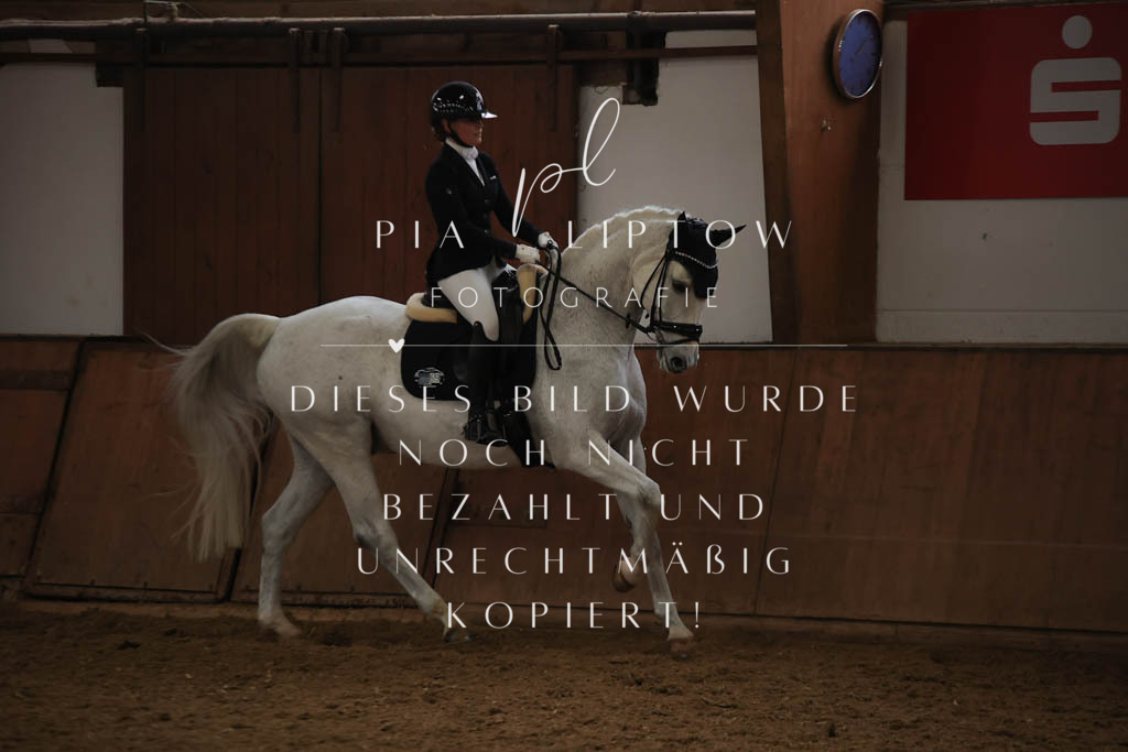 IMGT9222 | pl-fotografie