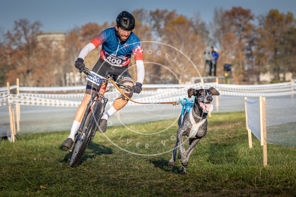CaniXpix_0L8A3949 | Hundefotografie, Tierfotograf, Pfotenfotografie, Fotoshooting Hund, Hunde Portrait, Hundesport, Hundeportraits, Heideshooting, Hunde, Sportfotograf, Hundefotograf, Turnierhundsport, THS,  - Realisiert mit Pictrs.com