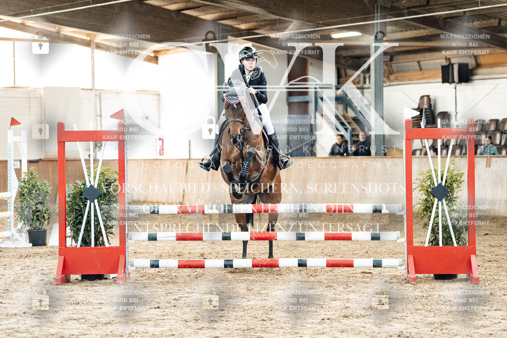 CK904403 | Turnierfotografie Pferdefotografie Trier Rheinland-Pfalz Pferdesport Reitsport Tierfotografie Sportfotografie Pferdevideo Pferdevideografie Equestrianvideography equestrianphotography  - Realisiert mit Pictrs.com