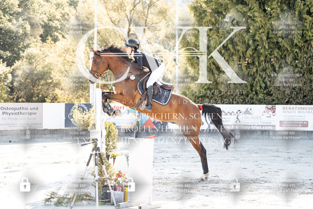 CK904278 | Turnierfotografie Pferdefotografie Trier Rheinland-Pfalz Pferdesport Reitsport Tierfotografie Sportfotografie Pferdevideo Pferdevideografie Equestrianvideography equestrianphotography  - Realisiert mit Pictrs.com
