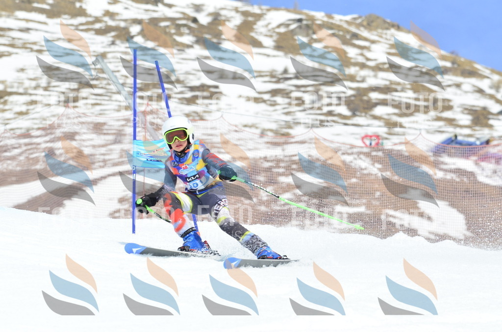 _ELE2678 | holidayphoto