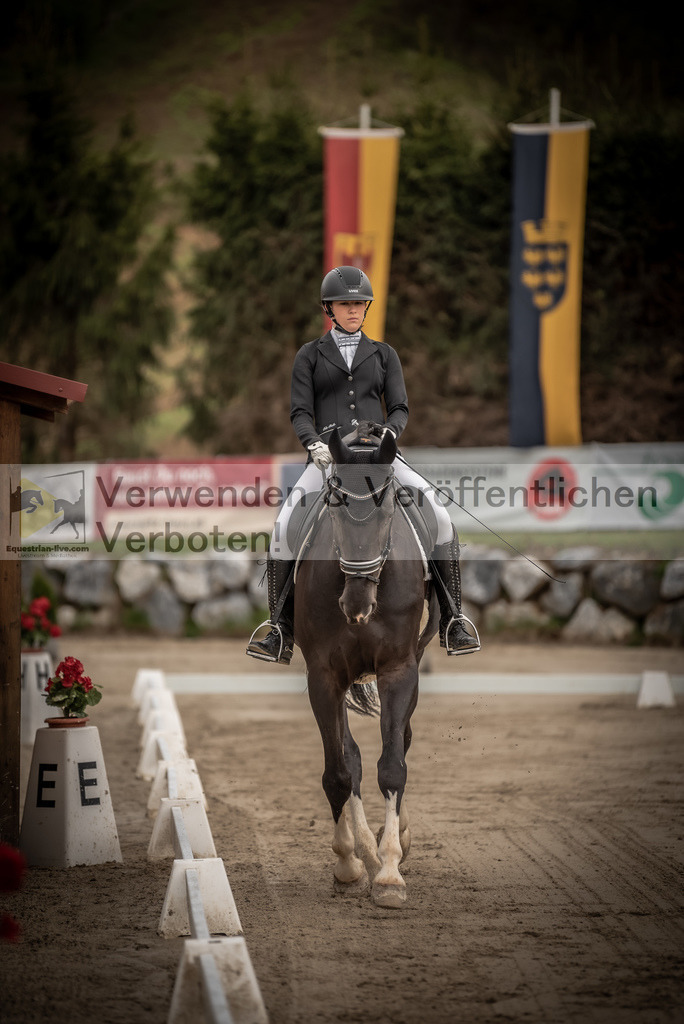 DSC_8182 | equestrian-live-com