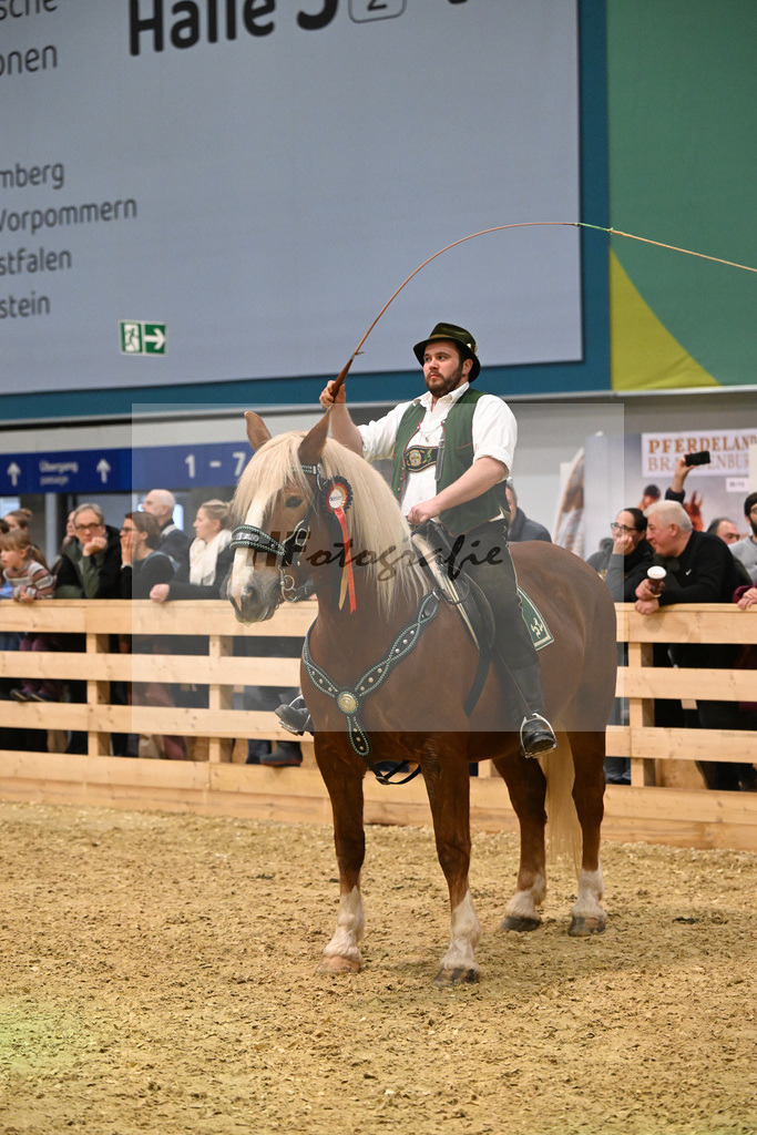 Schauprogramm_Goassl Schnalzer_1261182 | hf-fotografie - Realisiert mit Pictrs.com