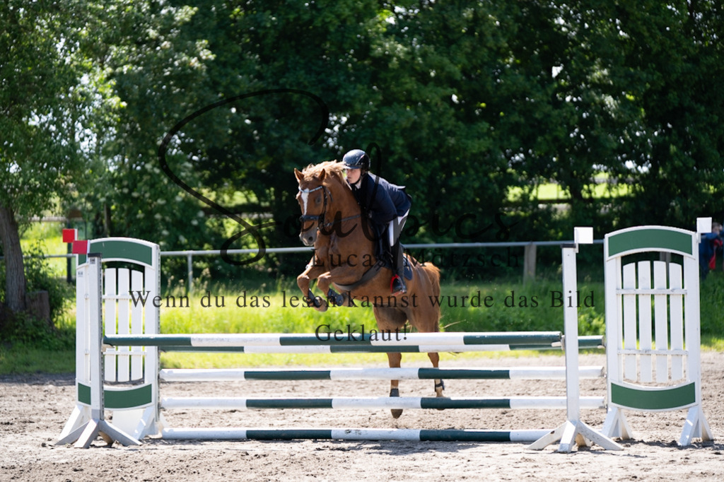 A7V04328 | Pferdefotograf