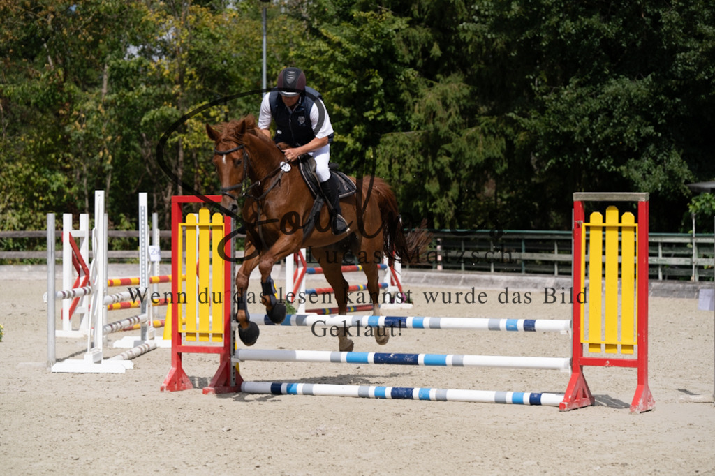 A7V07387 | Turnier/Reitfotograf