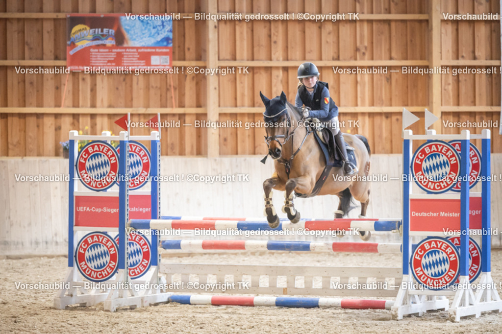 _D5A7900 | Emotionale Pferde- & People-Fotografie rund um Heidelberg, Leimen & Umgebung. Natürliche Fotos von Pferd, Mensch & Familie. Jetzt Termin sichern!