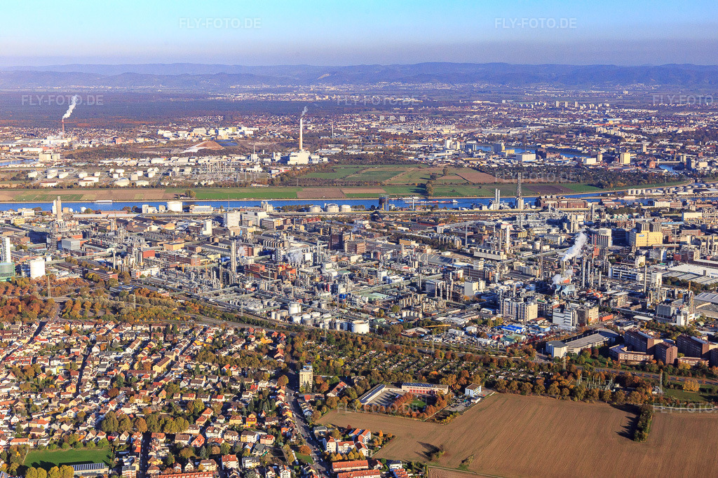 Luftbild: Ortsansicht von Westen im Ortsteil BASF in Ludwigshafen im Bundesland Rheinland-Pfalz in Deutschland. Foto: IMG_095541.jpg vom 30.10.2016 durch Werner Riehm/FLY-FOTO.de