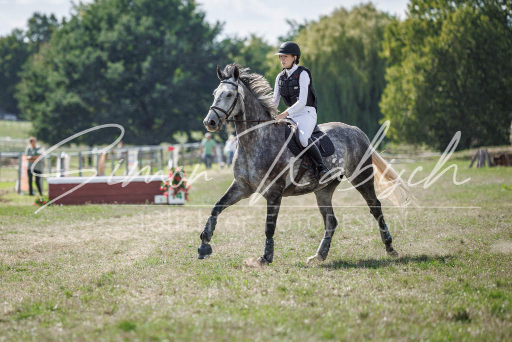 20260905-_3LI9752 | Tierfotografie Pferde, Hunde, Katzen, Haustiere.
Turnierfotografie Reitturniere, Reiten, Springreiten, Dressur in Hanau, dem Main-Kinzig-Kreis und dem Rhein-Main- Gebiet um Frankfurt