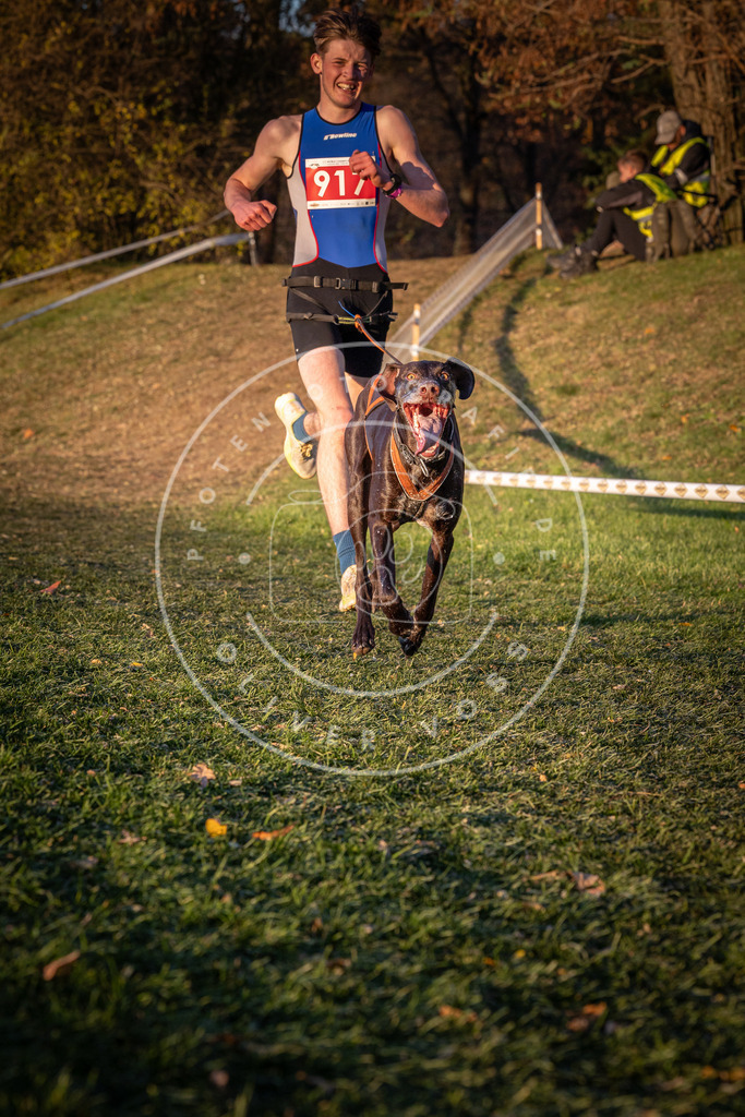 CaniXpix_0L8A1520 | Hundefotografie, Tierfotograf, Pfotenfotografie, Fotoshooting Hund, Hunde Portrait, Hundesport, Hundeportraits, Heideshooting, Hunde, Sportfotograf, Hundefotograf, Turnierhundsport, THS,  - Realisiert mit Pictrs.com