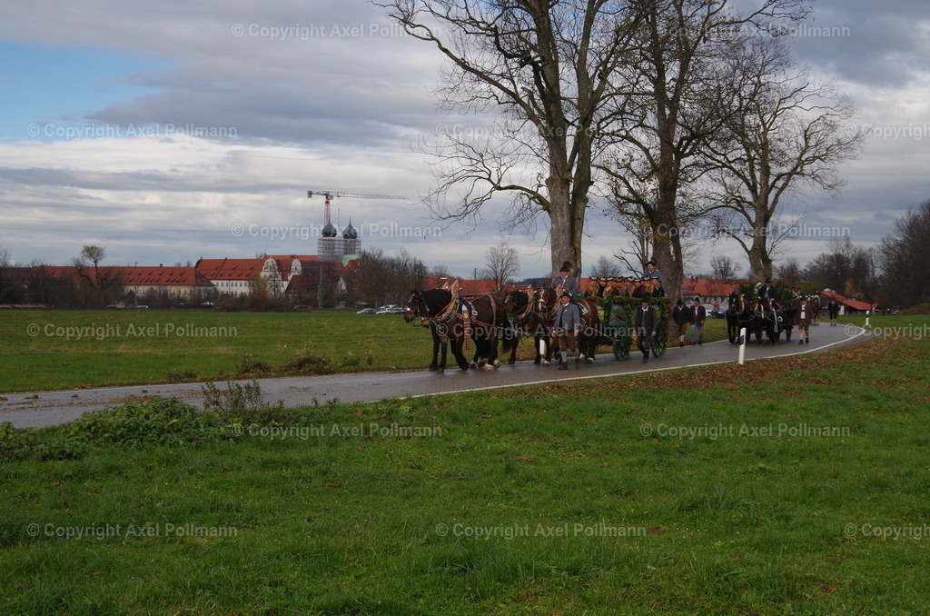 IMGP0392 | fotografiert von Axel PollmannLeonhardi Wallfahrt Benediktbeuern und Murnau, Fronleichnam, Fasching, Landschaft im Loisachtal und Benediktbeuern  - Realisiert mit Pictrs.com