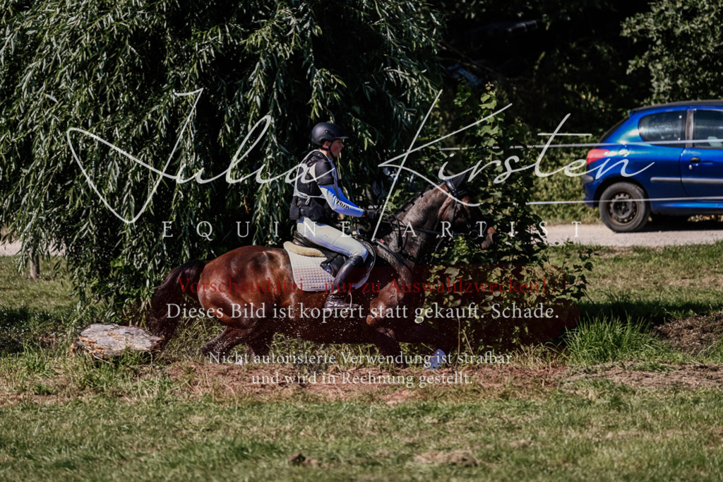 DSC_1456 | Pferde- und Turnierfotografie in Westsachsen. Pferdeportraits, Auftragszeichnungen und intuitive Kunst.