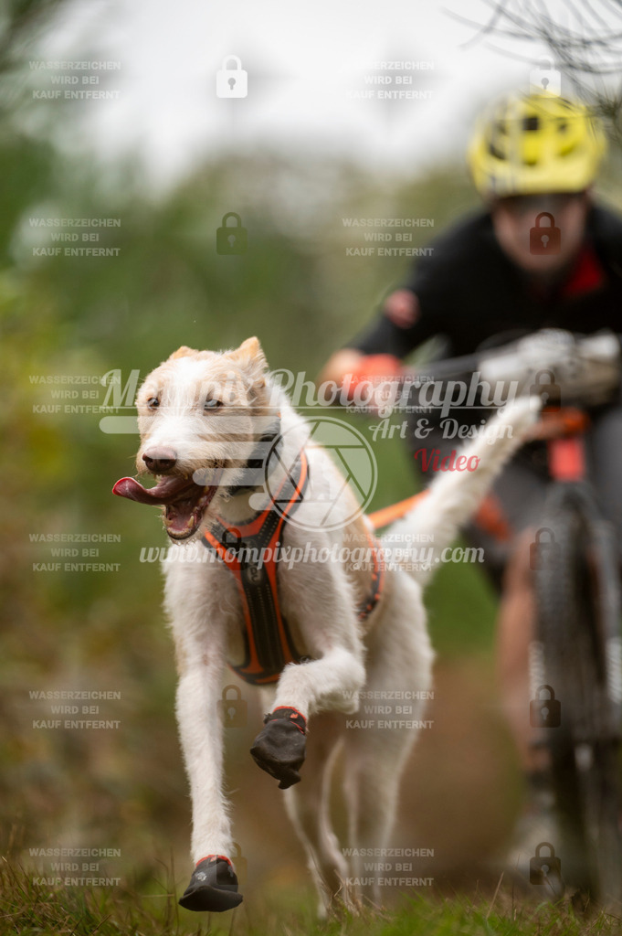 TSB_2023_E5_DS1-33 | PayLife