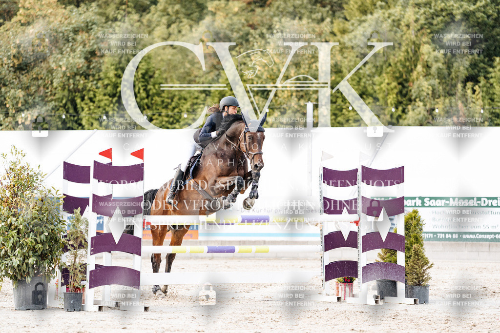 CK904004 | Turnierfotografie Pferdefotografie Trier Rheinland-Pfalz Pferdesport Reitsport Tierfotografie Sportfotografie Pferdevideo Pferdevideografie Equestrianvideography equestrianphotography  - Realisiert mit Pictrs.com