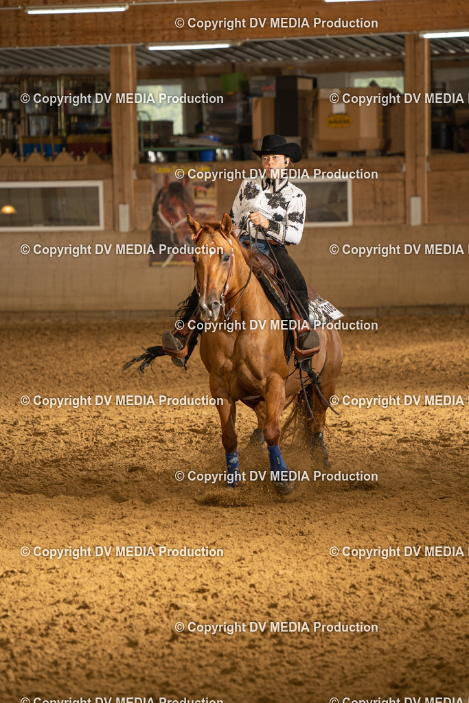 LAU00688 | dv-media-shop - Realisiert mit Pictrs.com