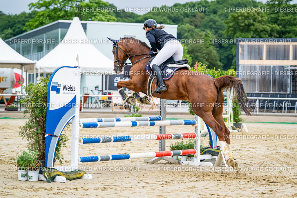 DSC02451 | Pferdegrafie