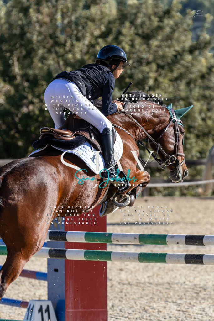 IMG_0029 | s-jay-photography - Realisiert mit Pictrs.com