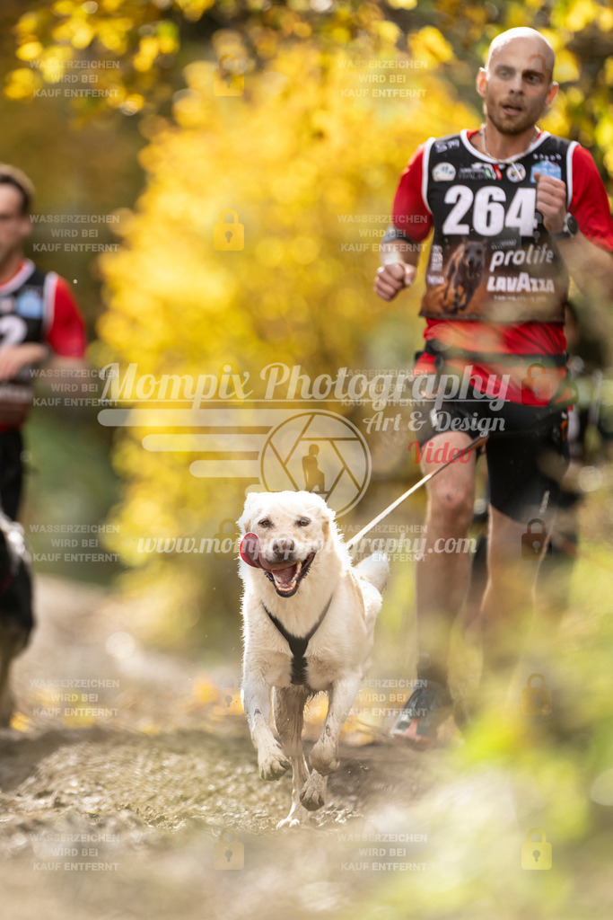 MompixPhotography_ICF_WC_2024_SA_Run_-59 | PayLife